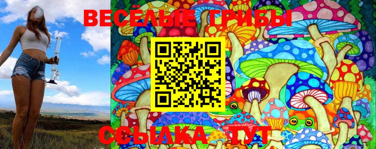 Жуковский  Галлюциногенные грибы Psilocybe  Вход с VPN  Псилоцибиновые грибы Cubensis 