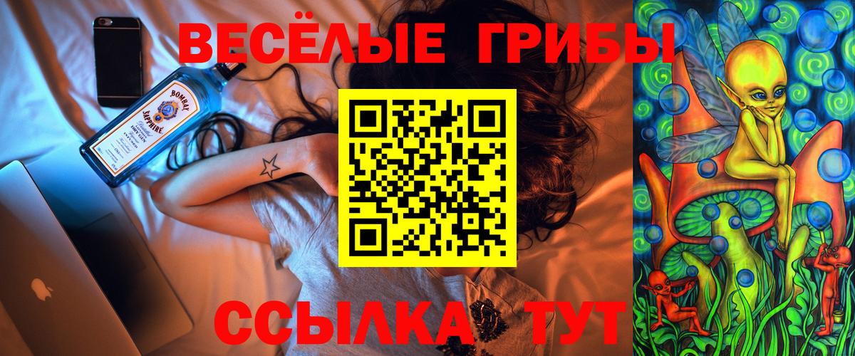 Псилоцибиновые грибы GOLDEN TEACHER Жуковский